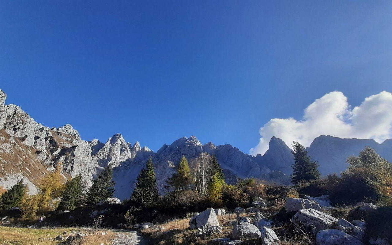 Bivacco Corini - Cimon della Bagozza - Cima Mengol