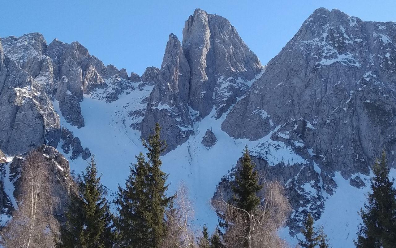 Cimon della Bagozza - Canale del Lupo - Invernale
