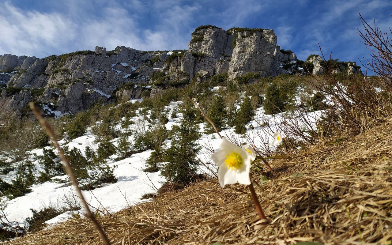 Da Vaiale alla Capanna Tita Secchi - Passo delle Portole - Maniva