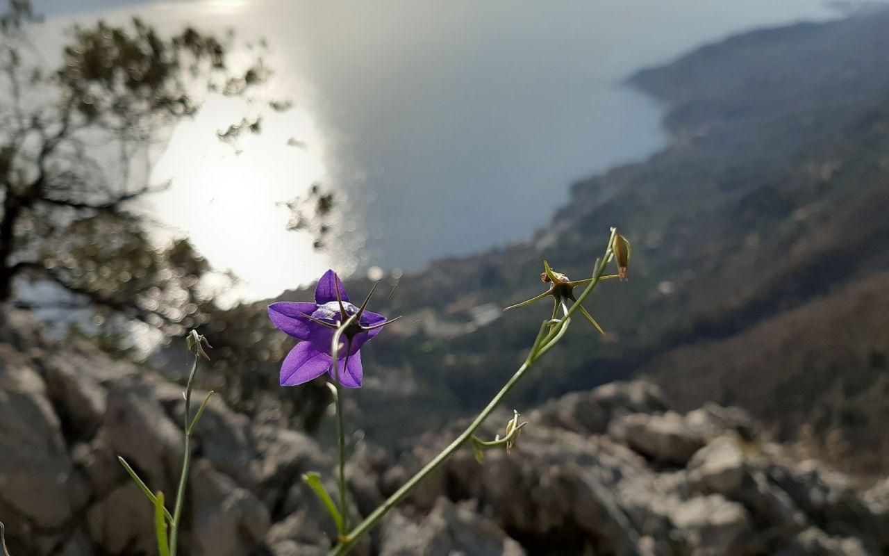 Eremo di San Valentino (giro ad anello)